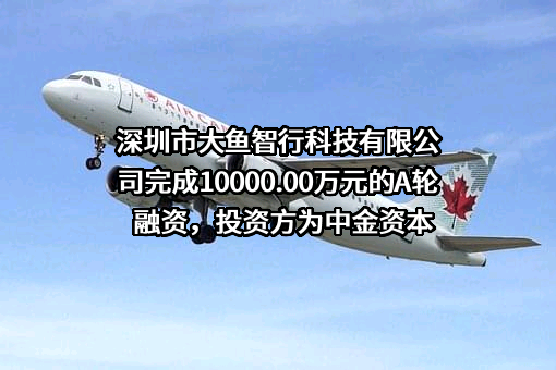 深圳市大鱼智行科技有限公司