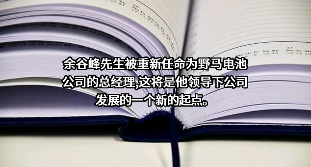 浙江野马电池股份有限公司