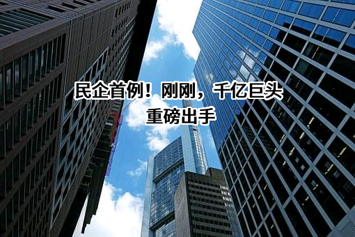 江苏恒力化纤股份有限公司