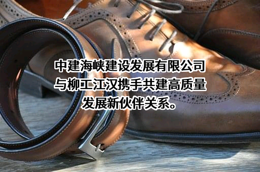 中建海峡建设发展有限公司