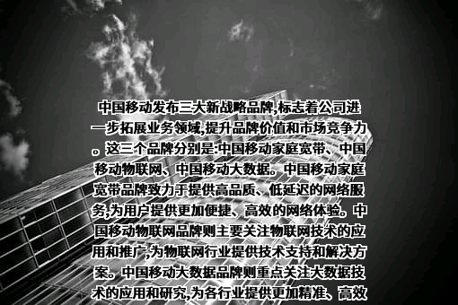 中国移动通信集团有限公司