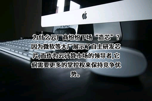 微软（中国）有限公司