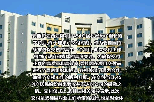碧桂园控股有限公司