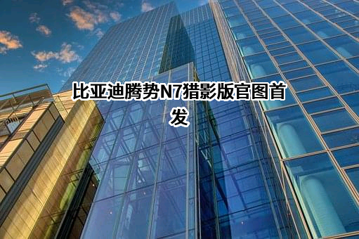 深圳腾势新能源汽车有限公司