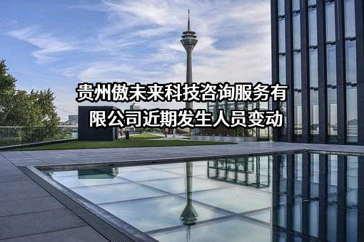 贵州傲未来科技咨询服务有限公司