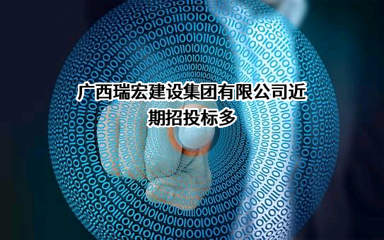 广西瑞宏建设集团有限公司