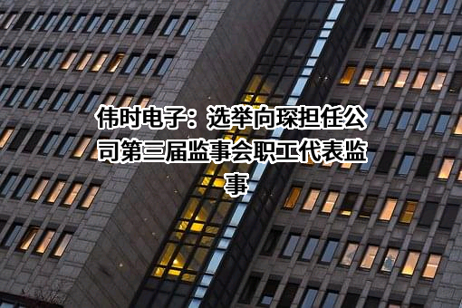 伟时电子股份有限公司