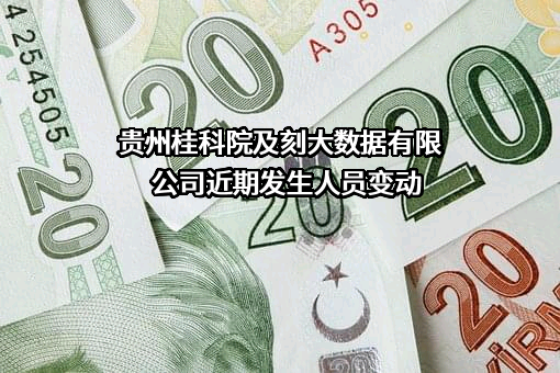 贵州桂科院及刻大数据有限公司