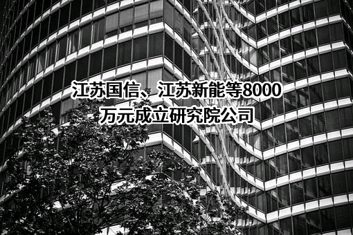 江苏省新能源开发股份有限公司