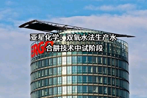 潍坊亚星化学股份有限公司