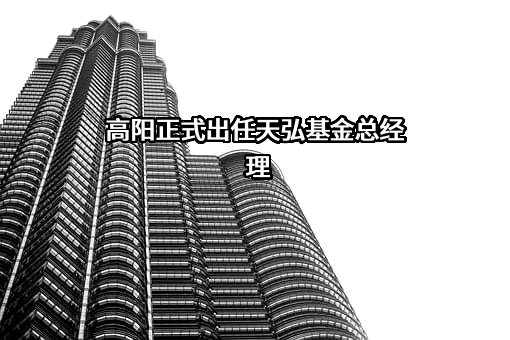 天弘基金管理有限公司