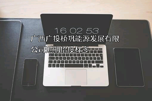 广西广投桥巩能源发展有限公司