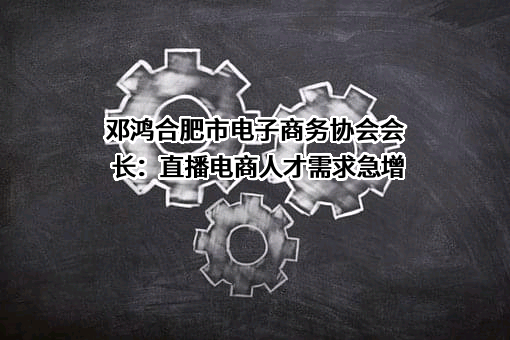 合肥市电子商务协会