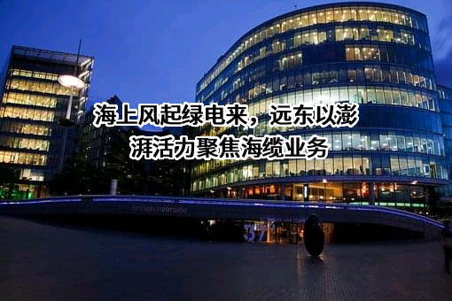 远东智慧能源股份有限公司