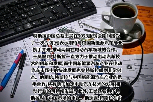 特斯拉(上海)有限公司