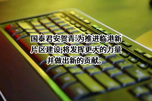 国泰君安证券股份有限公司