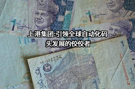 国家电力投资集团有限公司