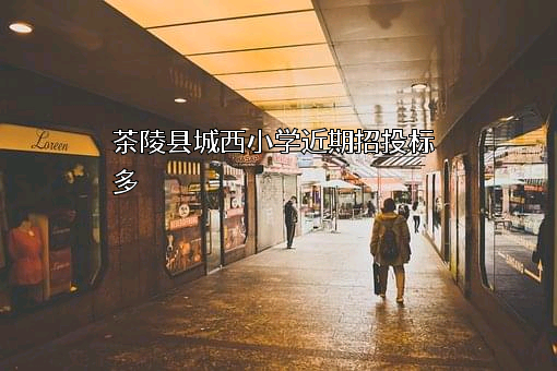 茶陵县城西小学