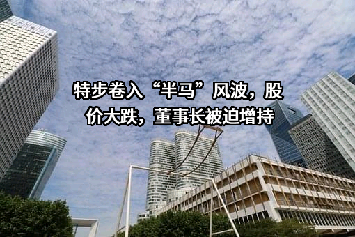 特步（中国）有限公司