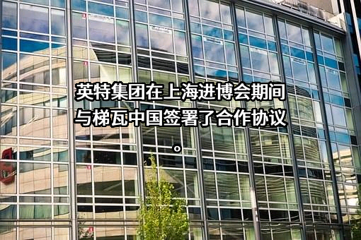 浙江英特集团股份有限公司