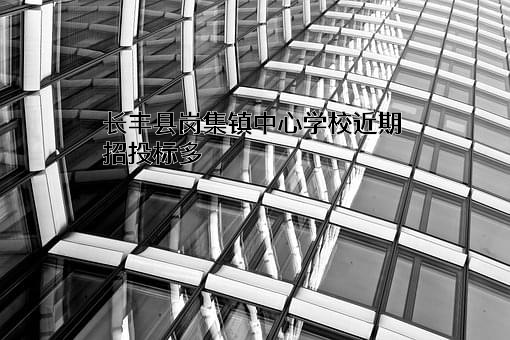 长丰县岗集镇中心学校