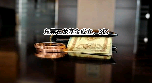 东莞市石龙产业投资发展有限公司