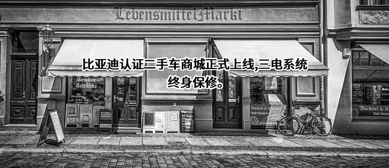比亚迪股份有限公司