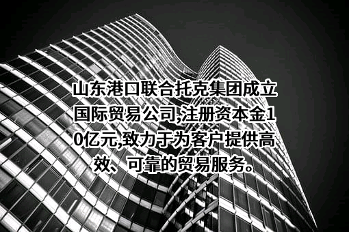托克投资（中国）有限公司