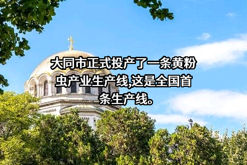 山西鼎欣生物科技有限公司