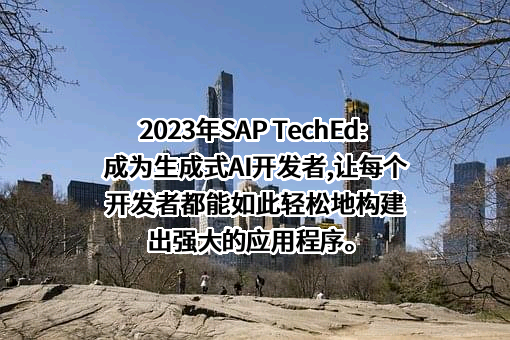 思爱普（中国）有限公司