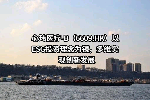 上海心玮医疗科技股份有限公司