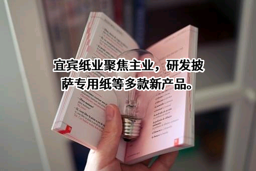 宜宾纸业股份有限公司