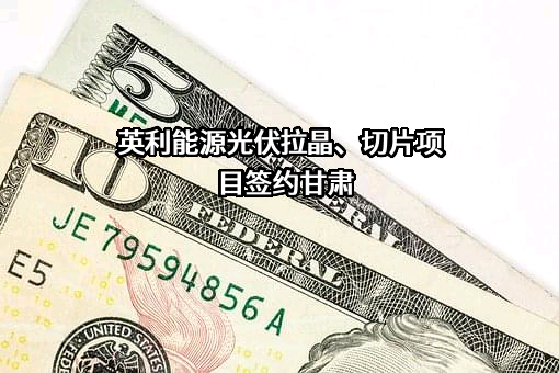英利能源（中国）有限公司