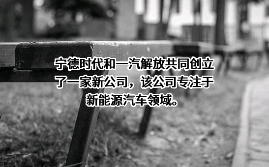 宁德时代新能源科技股份有限公司