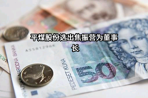 平顶山天安煤业股份有限公司
