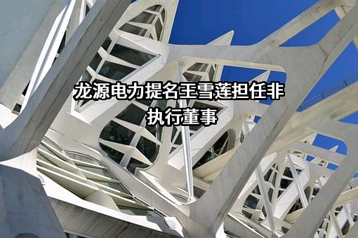 龙源电力集团股份有限公司