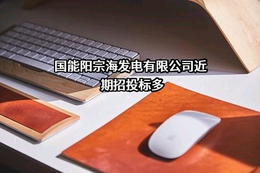 国能阳宗海发电有限公司