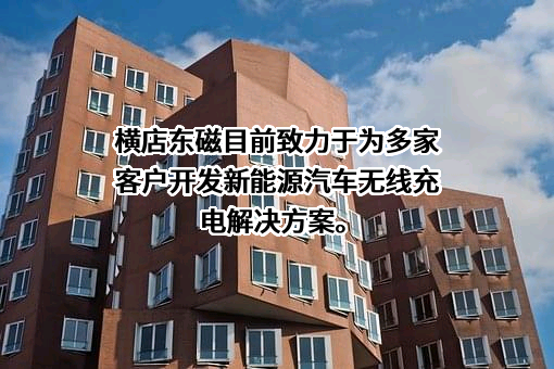 横店集团东磁股份有限公司