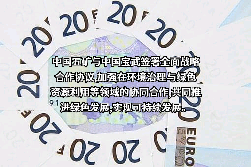 中国宝武钢铁集团有限公司