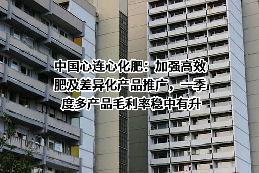 中国心连心化肥有限公司