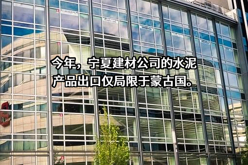 宁夏建材集团股份有限公司