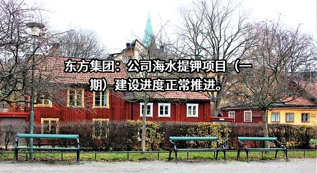 东方集团股份有限公司