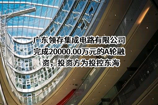 广东领存集成电路有限公司