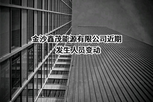 金沙鑫茂能源有限公司