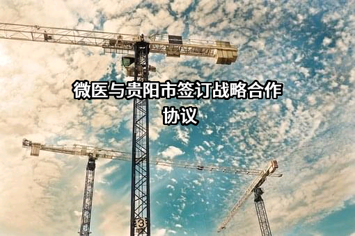 微医控股有限公司