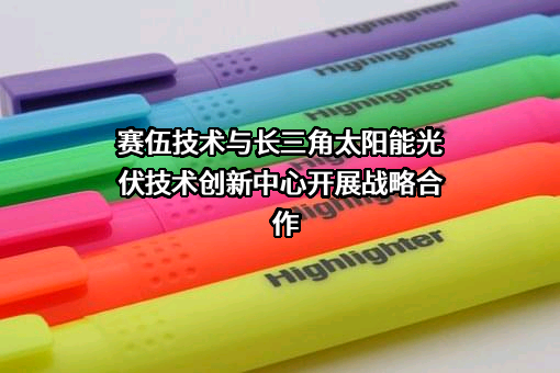 苏州赛伍应用技术股份有限公司