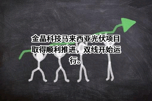 山东金晶科技股份有限公司