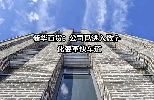 银川新华百货商业集团股份有限公司