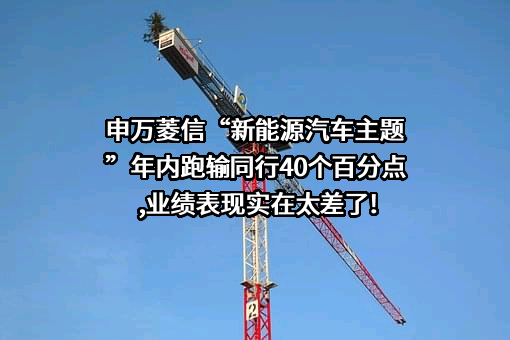 申万菱信（上海）资产管理有限公司