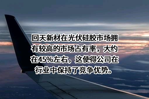 湖北回天新材料股份有限公司